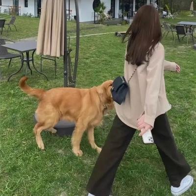 璇宫玉女